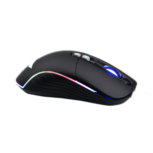 Chuột Gaming không dây Newmen WGX6 Đen (Dual Mode Type C & 2.4Ghz)
